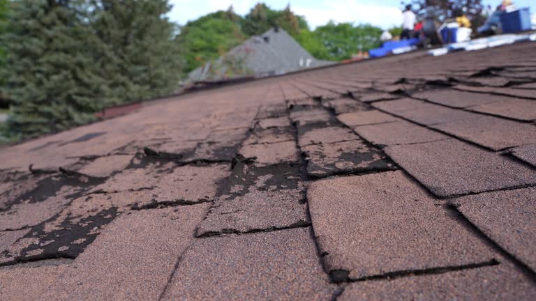 Best Metal Roofing Installation  in Lindenwold, NJ
