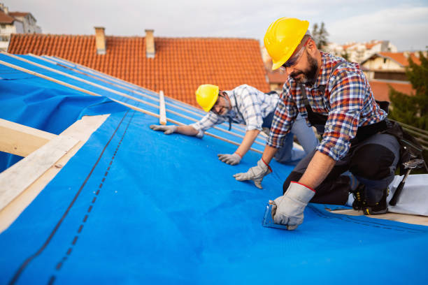 Best Roof Leak Repair  in Lindenwold, NJ